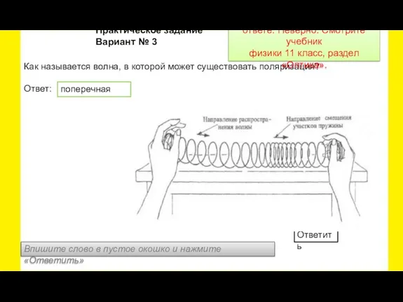 Как называется волна, в которой может существовать поляризация? Ответ: Практическое задание Вариант