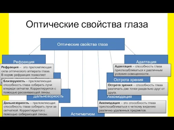 Оптические свойства глаза Оптические свойства глаза Рефракция Близорукость Дальнозоркость Астигматизм Аккомодация Острота