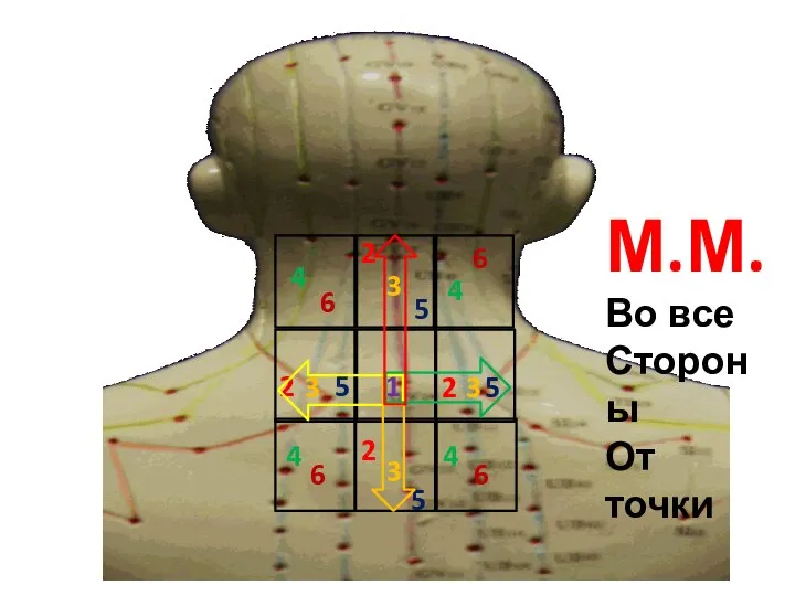 М.М. Во все Стороны От точки