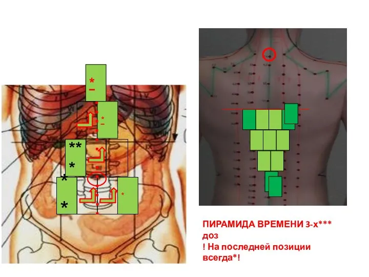 ПИРАМИДА ВРЕМЕНИ 3-х*** доз ! На последней позиции всегда*!
