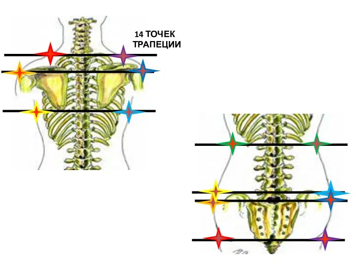 14 ТОЧЕК ТРАПЕЦИИ