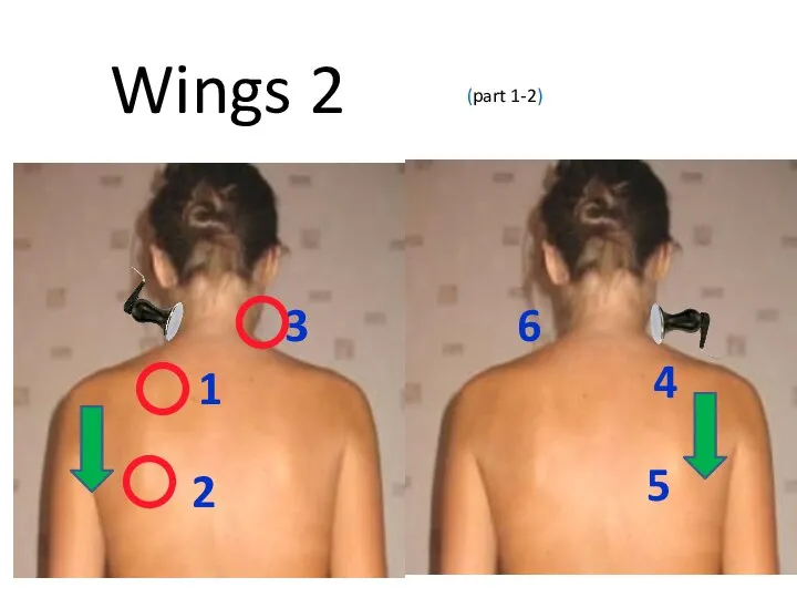 1 2 3 4 5 6 Wings 2 (part 1-2)