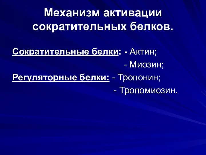 Механизм активации сократительных белков. Сократительные белки: - Актин; - Миозин; Регуляторные белки: - Тропонин; - Тропомиозин.