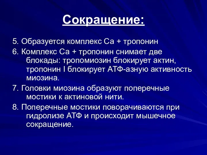 Сокращение: 5. Образуется комплекс Са + тропонин 6. Комплекс Са + тропонин