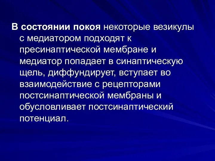 В состоянии покоя некоторые везикулы с медиатором подходят к пресинаптической мембране и