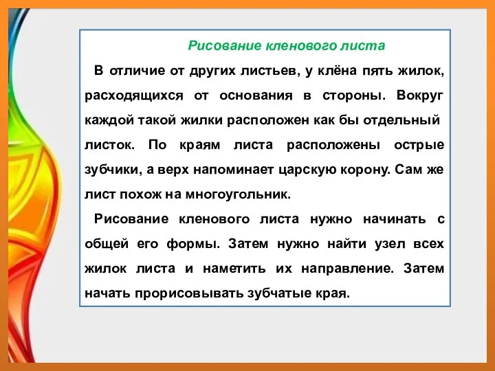 Рисование кленового листа В отличие от других листьев, у клёна пять жилок,