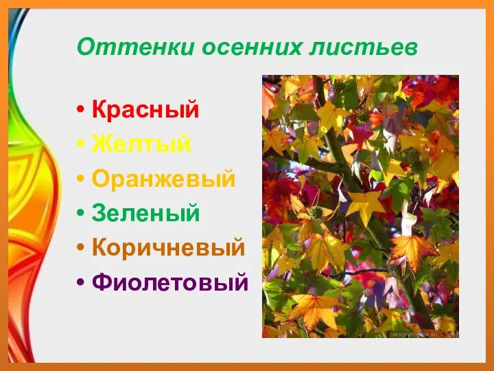Оттенки осенних листьев Красный Желтый Оранжевый Зеленый Коричневый Фиолетовый