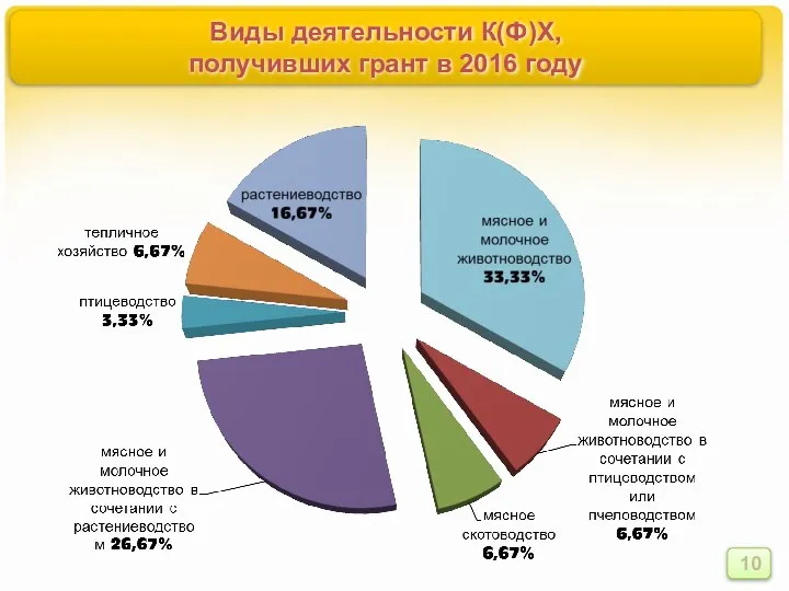 Виды деятельности К(Ф)Х, получивших грант в 2016 году