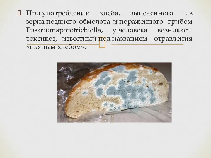 При употреблении хлеба, выпеченного из зерна позднего обмолота и пораженного грибом Fusariumsporotrichiella,