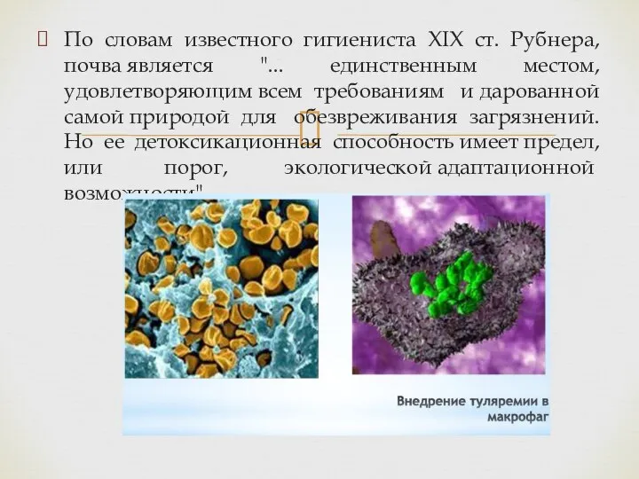 По словам известного гигиениста XIX ст. Рубнера, почва является "... единственным местом,