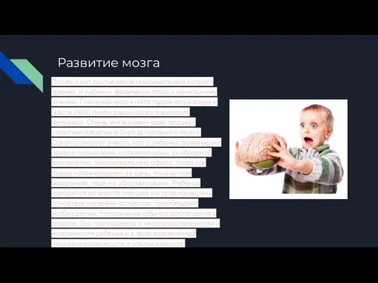 Развитие мозга После 4 лет достигается максимальная острота зрения, и ребенок физически