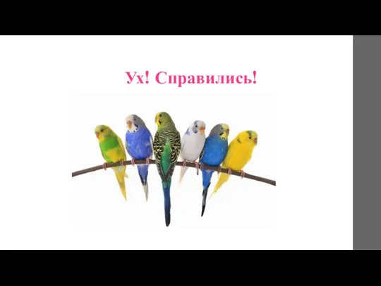 Ух! Справились!