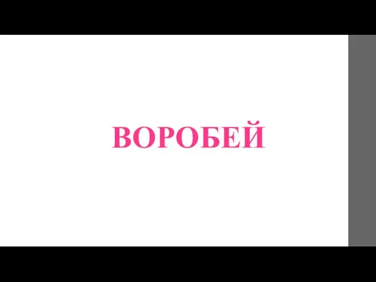 ВОРОБЕЙ