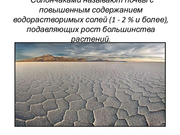 Солончаками называют почвы с повышенным содержанием водорастворимых солей (1 - 2 %