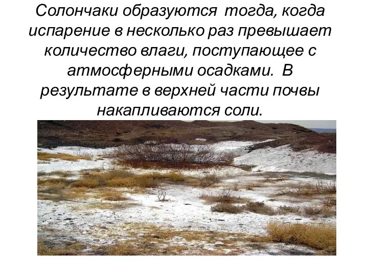 Солончаки образуются тогда, когда испарение в несколько раз превышает количество влаги, поступающее