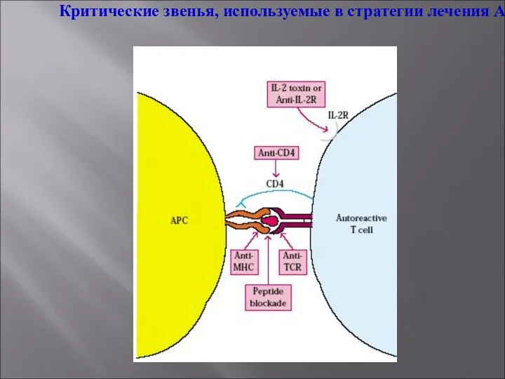 Критические звенья, используемые в стратегии лечения АИЗ