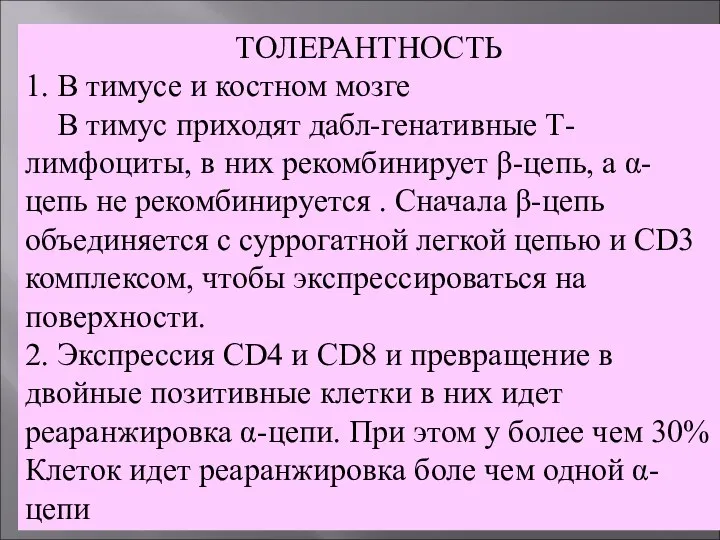 ТОЛЕРАНТНОСТЬ 1. В тимусе и костном мозге В тимус приходят дабл-генативные Т-лимфоциты,