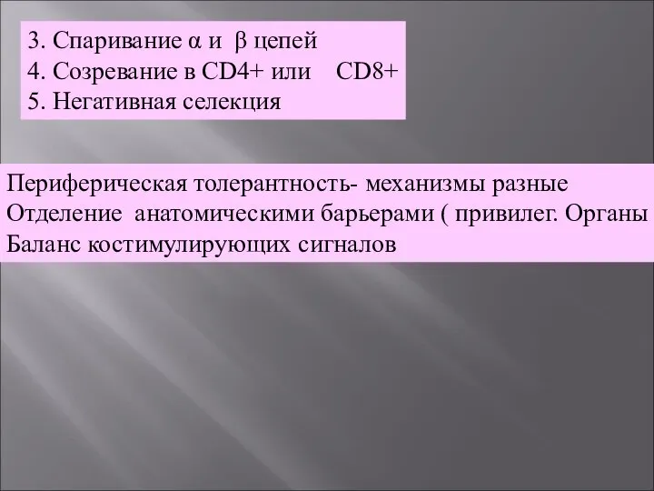 3. Спаривание α и β цепей 4. Созревание в CD4+ или CD8+