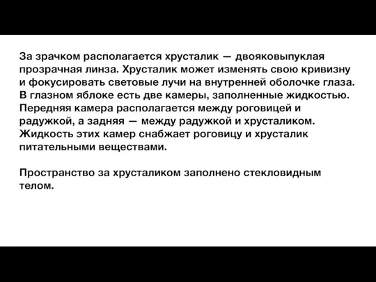 За зрачком располагается хрусталик — двояковыпуклая прозрачная линза. Хрусталик может изменять свою