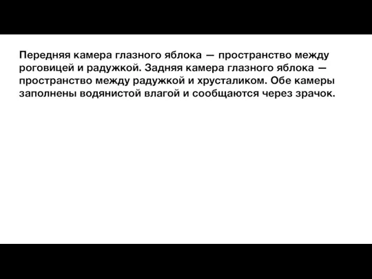 Передняя камера глазного яблока — пространство между роговицей и радужкой. Задняя камера