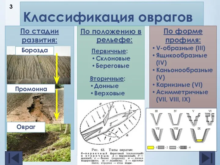 По стадии развития: Классификация оврагов Борозда Промоина Овраг По положению в рельефе: