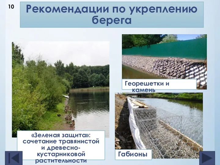 Рекомендации по укреплению берега Георешетки и камень Габионы «Зеленая защита»: сочетание травянистой и древесно-кустарниковой растительности