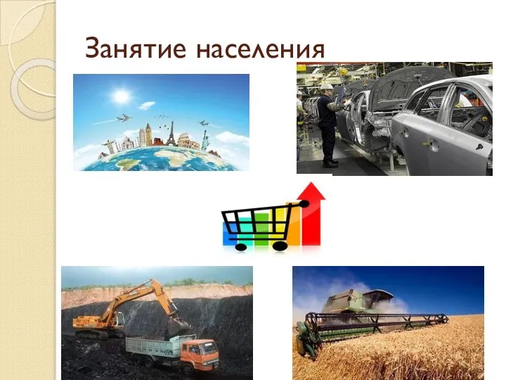 Занятие населения