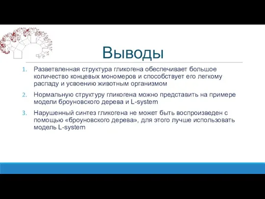 Выводы Разветвленная структура гликогена обеспечивает большое количество концевых мономеров и способствует его