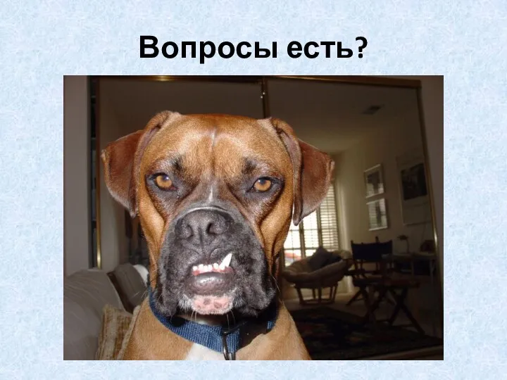 Вопросы есть?