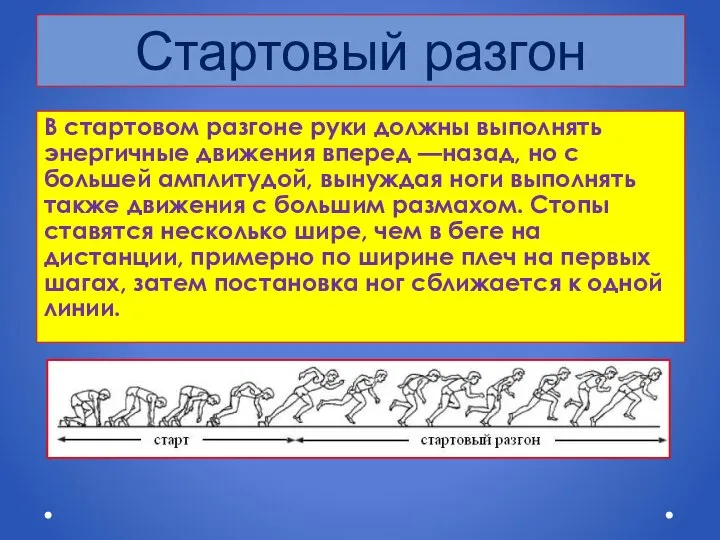 Стартовый разгон В стартовом разгоне руки должны выполнять энергичные движения вперед —назад,