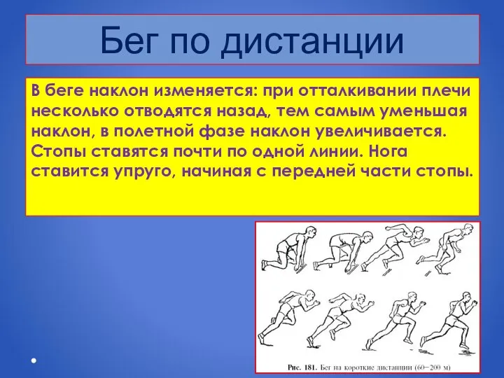 Бег по дистанции В беге наклон изменяется: при отталкивании плечи несколько отводятся