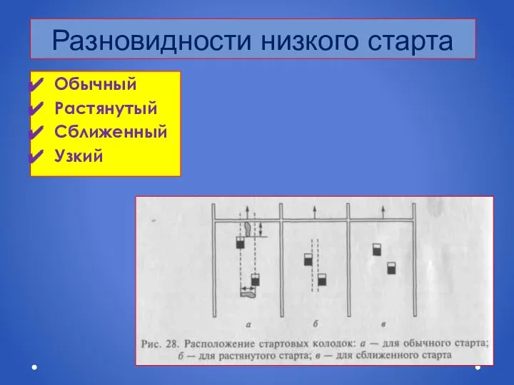 Разновидности низкого старта Обычный Растянутый Сближенный Узкий