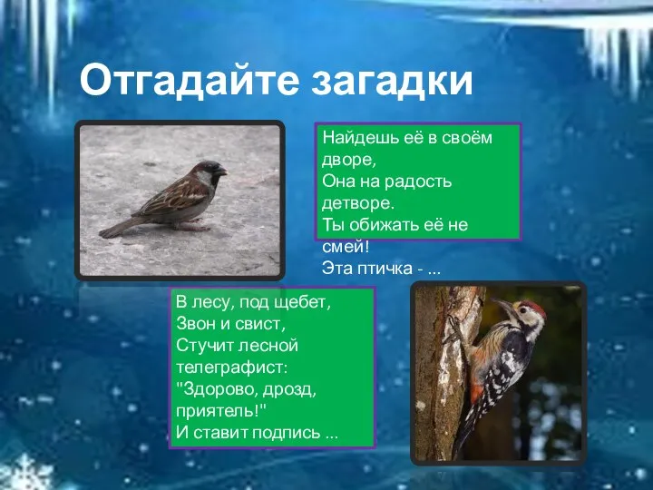 Отгадайте загадки Найдешь её в своём дворе, Она на радость детворе. Ты