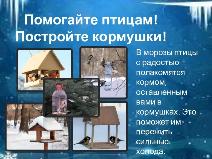 Помогайте птицам! Постройте кормушки! В морозы птицы с радостью полакомятся кормом, оставленным