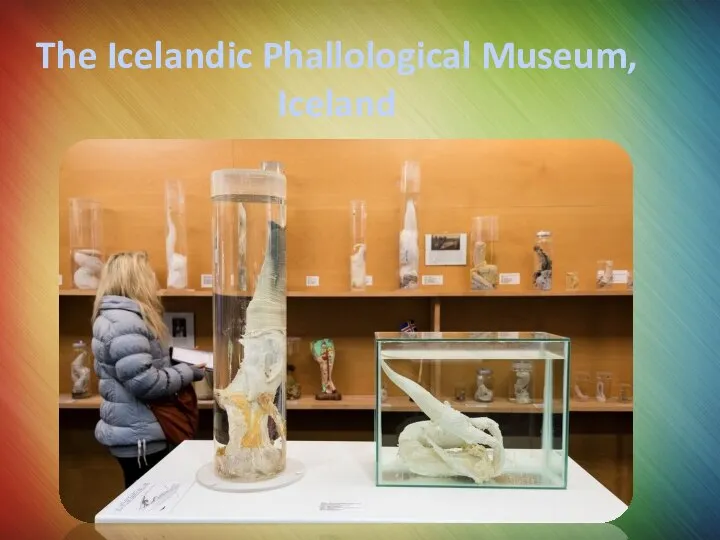 The Icelandic Phallological Museum, Iceland
