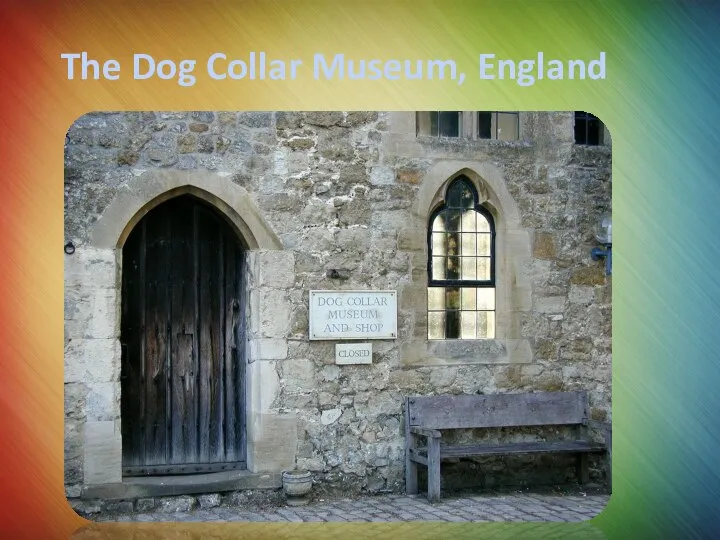 The Dog Collar Museum, England