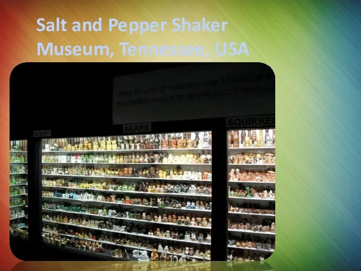 Salt and Pepper Shaker Museum, Tennessee, USA