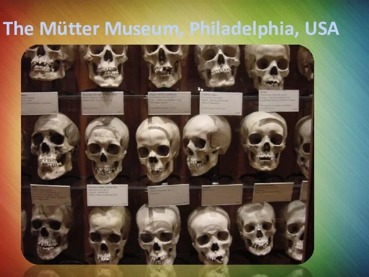 The Mütter Museum, Philadelphia, USA