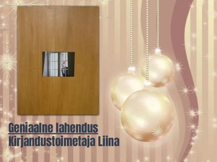 Geniaalne lahendus Kirjandustoimetaja Liina