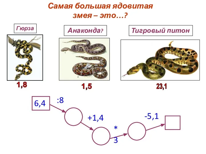 Самая большая ядовитая змея – это…? 6,4 :8 +1,4 *3 -5,1 Анаконда?