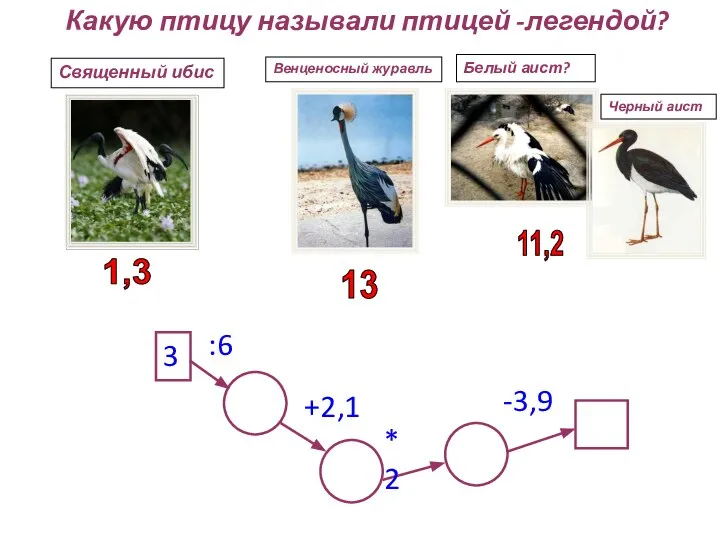 Какую птицу называли птицей -легендой? 3 :6 +2,1 *2 -3,9 Священный ибис