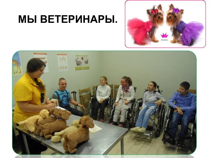 МЫ ВЕТЕРИНАРЫ.