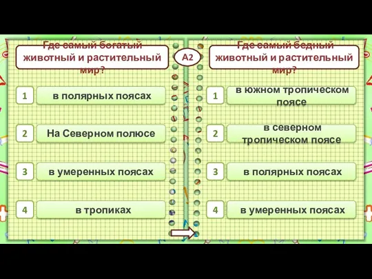 в полярных поясах в тропиках в умеренных поясах На Северном полюсе 1