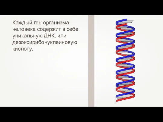 Каждый ген организма человека содержит в себе уникальную ДНК, или дезоксирибонуклеиновую кислоту.