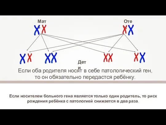 Если носителем больного гена является только один родитель, то риск рождения ребёнка