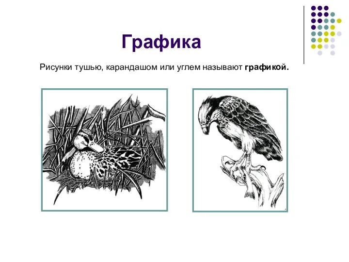 Графика Рисунки тушью, карандашом или углем называют графикой.