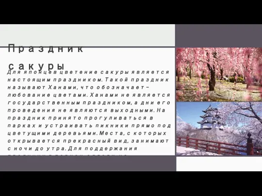 Праздник сакуры Для японцев цветение сакуры является настоящим праздником. Такой праздник называют