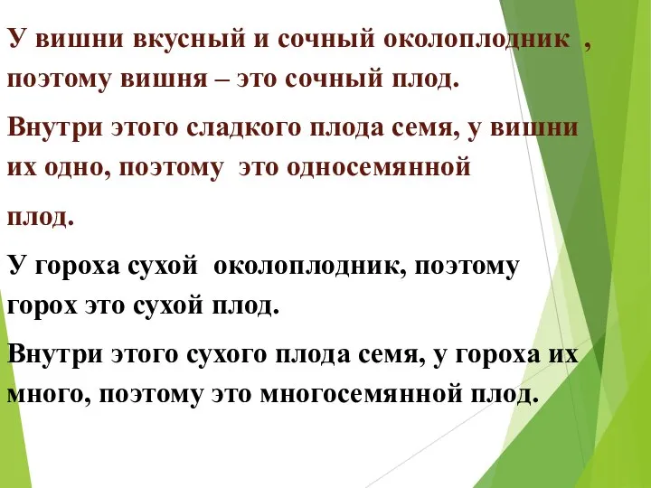 У вишни вкусный и сочный околоплодник , поэтому вишня – это сочный