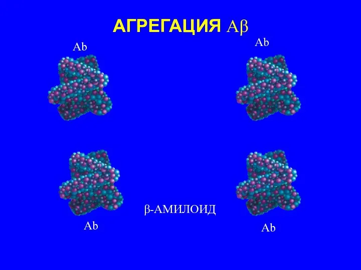 β-АМИЛОИД АГРЕГАЦИЯ Аβ Аb Аb Аb Аb