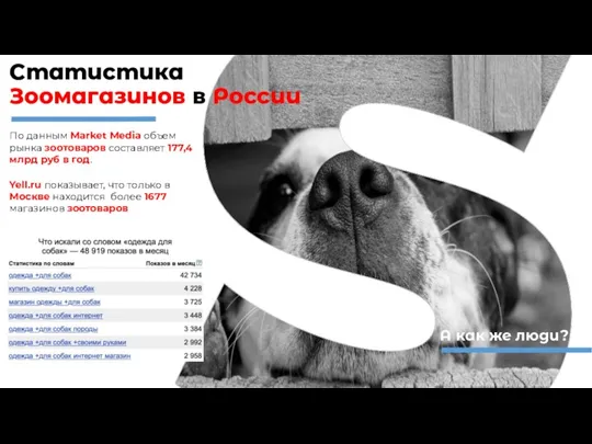 Статистика Зоомагазинов в России По данным Market Media объем рынка зоотоваров составляет